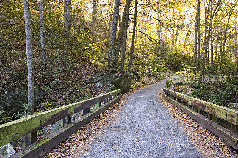 烟山秋路系列