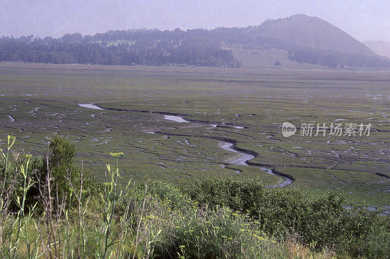 加州圣路易斯奥比斯波的河口和河道海岸泻湖