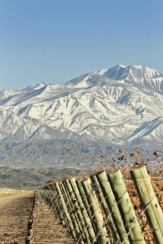 葡萄园和山地