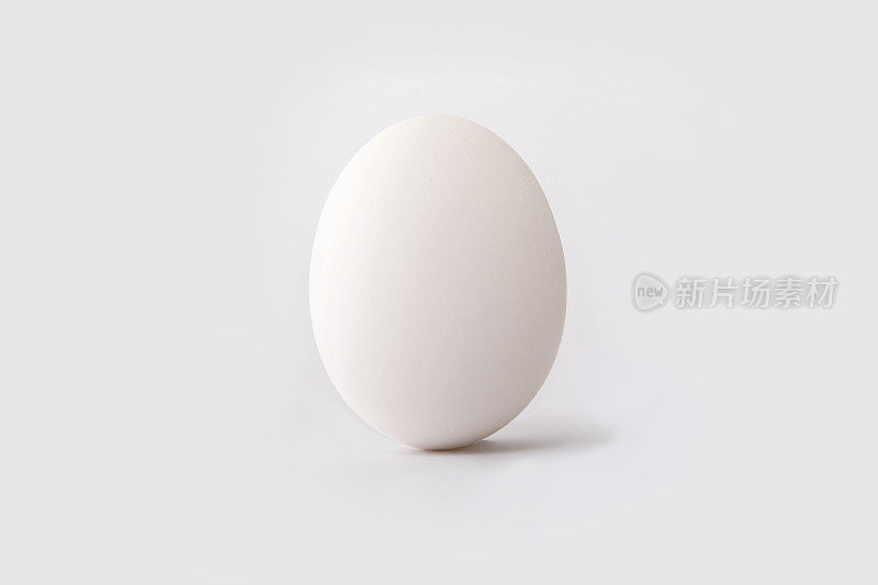 白蛋