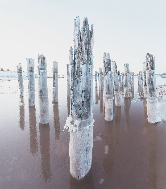 冰冻的潮流