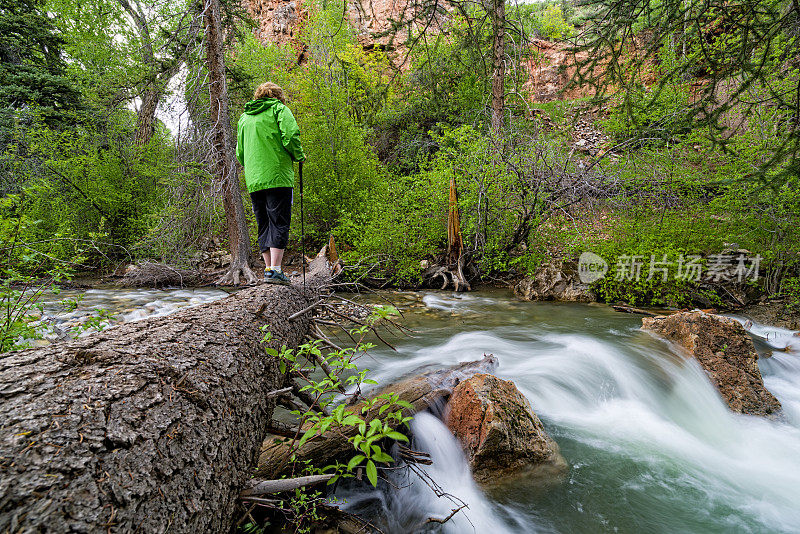 女徒步旅行者在原木上穿过小溪