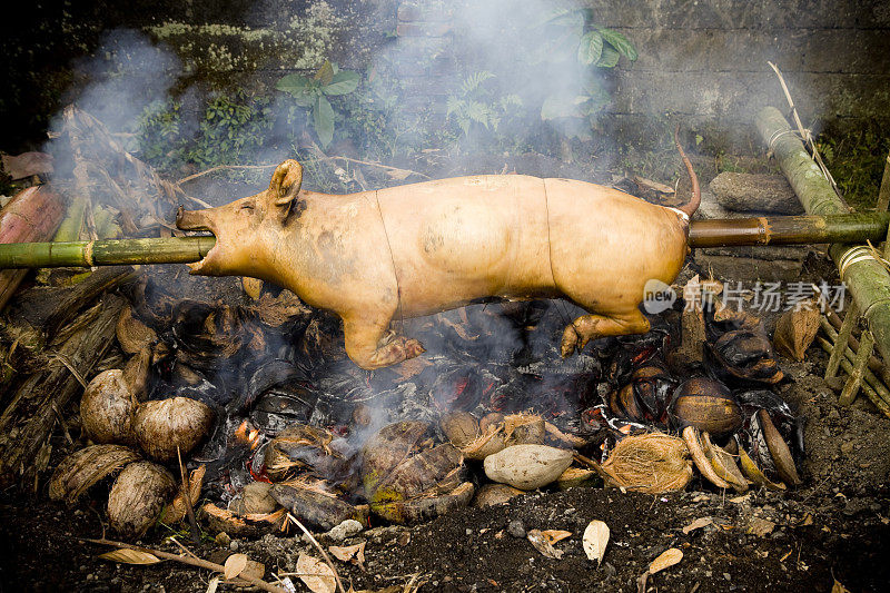 烤猪肉