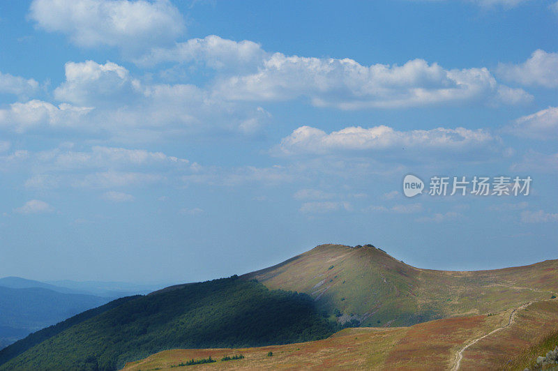 夏天山景观