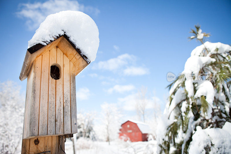 雪覆盖的鸟屋，红谷仓和树