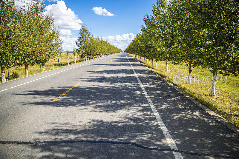 前进的道路