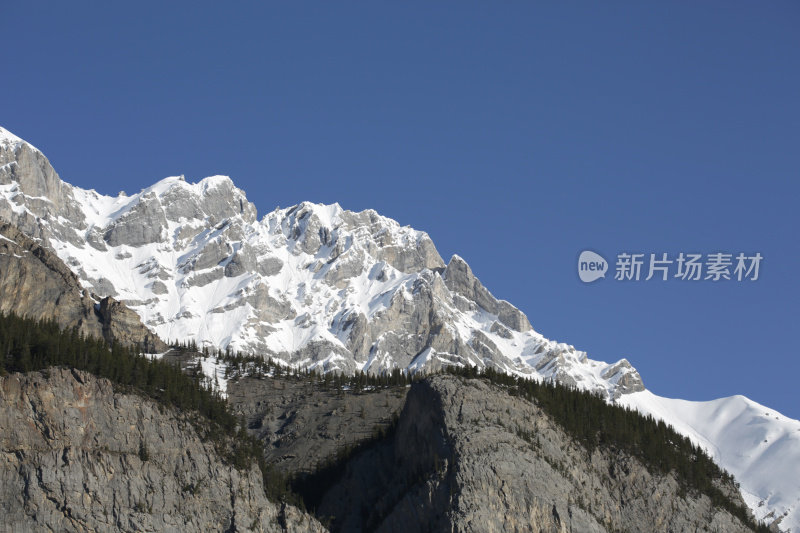 春天，加拿大阿尔伯塔省的落基山脉