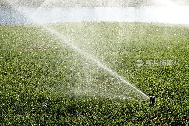 草坪维护——用洒水系统浇灌草坪