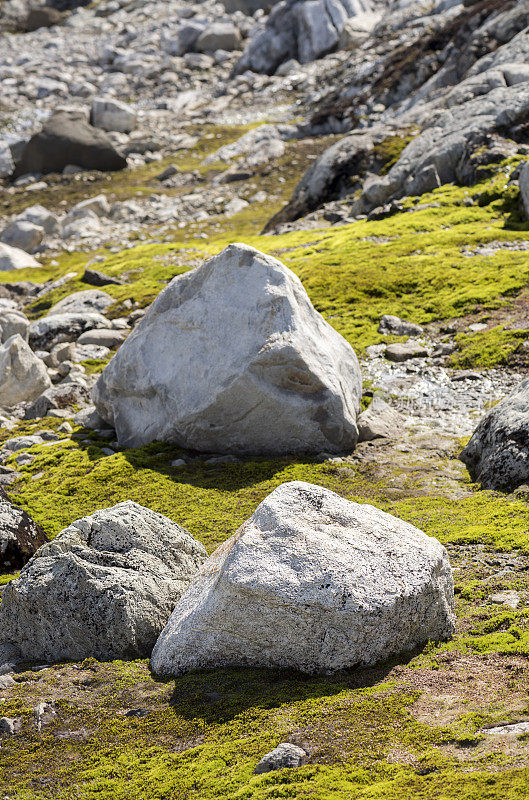 Jotunheimen国家公园中布满岩石和苔藓的徒步小径