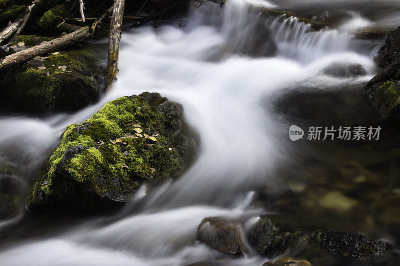 山溪和苔藓岩石