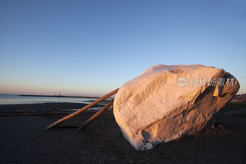 美丽的白色岩石不列颠哥伦比亚省的早晨