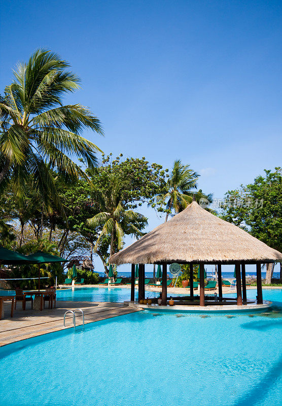 热带度假胜地的游泳池