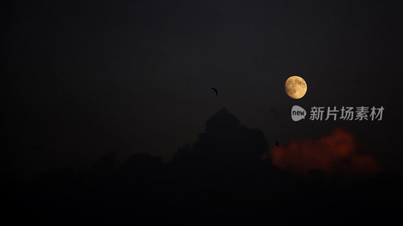 阴沉的夜晚天空，满月，云和燕子