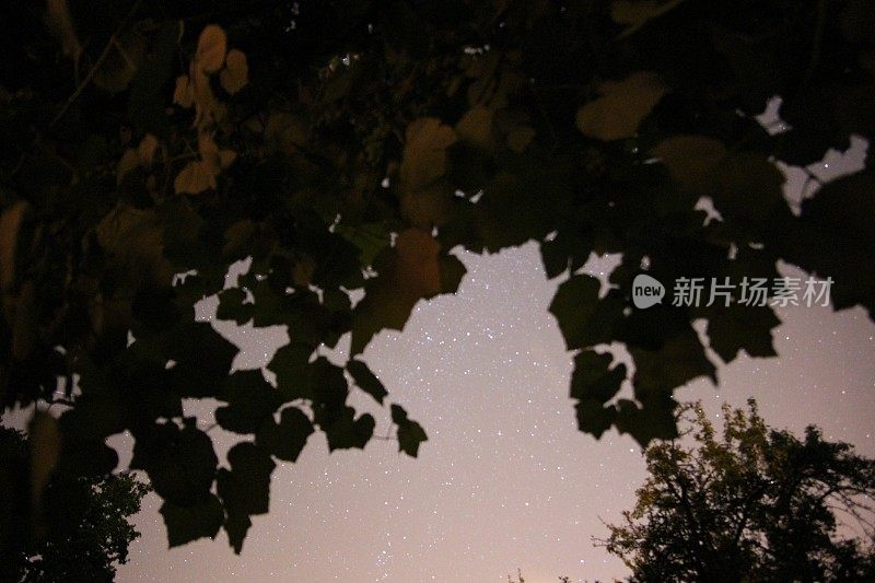 晚上星星