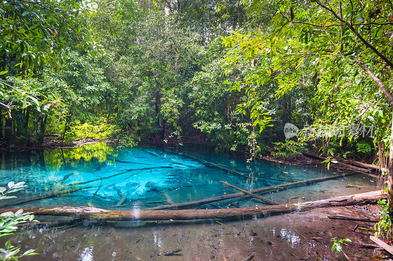 泰国甲米省的森林和水翡翠池国家公园