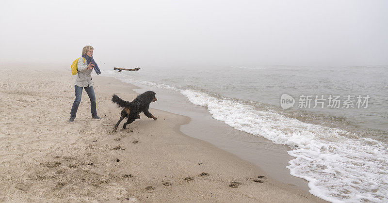 迷人的50岁老太太在海滩上玩湿伯恩山狗