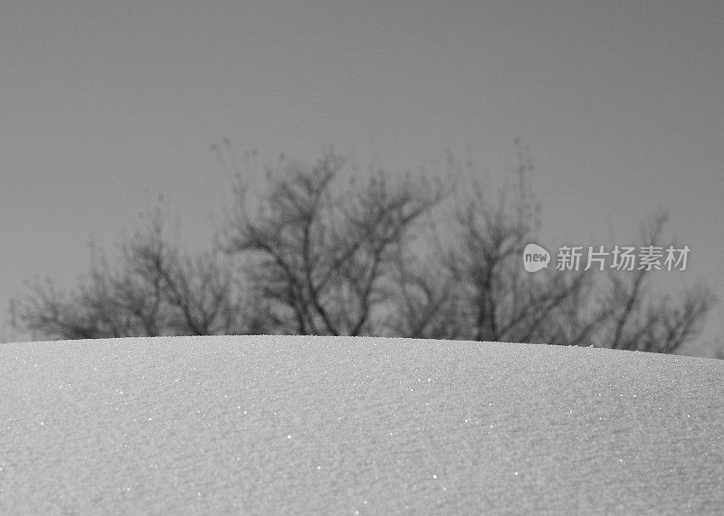 雪堆的火花未触及树林的背景模糊