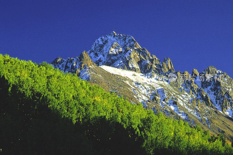 山上有雪和白杨树