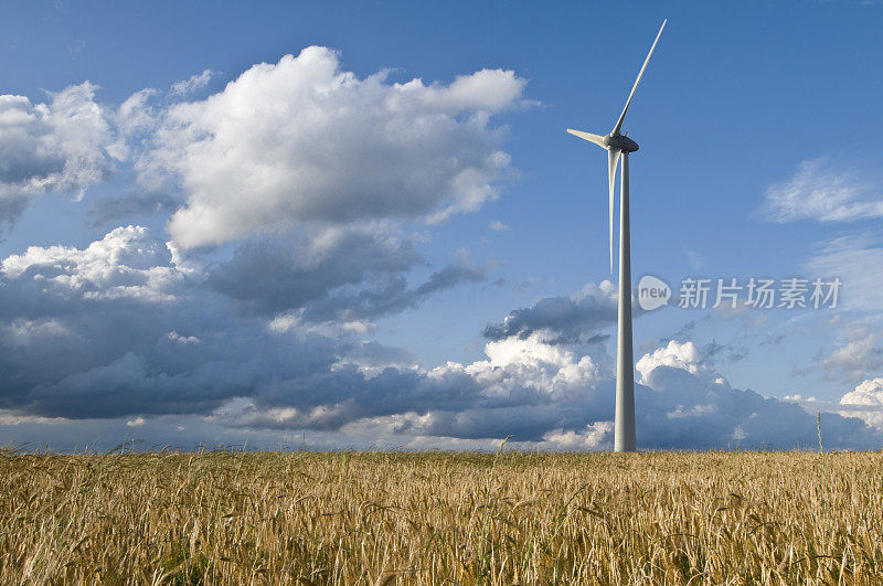 玉米地上的风力发电机