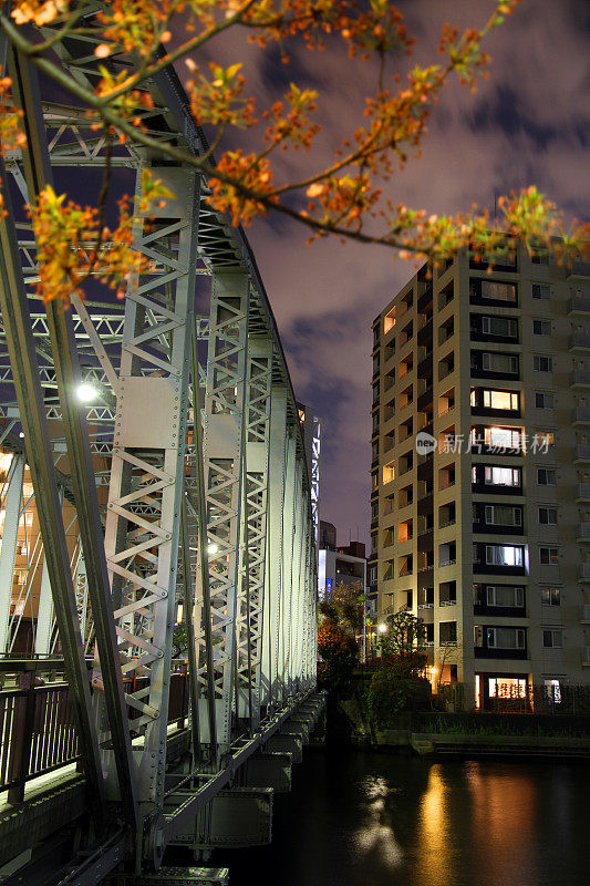 住田和鲜花