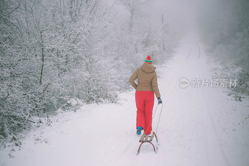 女孩在森林里散步，拉雪橇。一个开心的女人。圣诞假期。女孩免费休息。圣诞树躺在雪橇上。美丽的年轻女孩或女人在森林里散步。拉木制雪橇