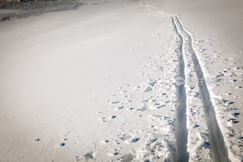 越野赛滑雪者踪迹在雪的冬天