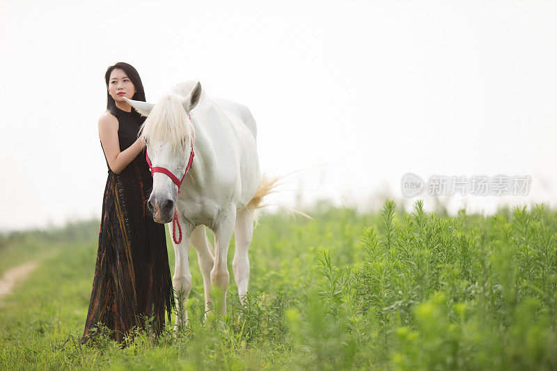 本质上的女人和马