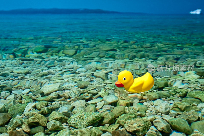 黄色的鸭子和大海