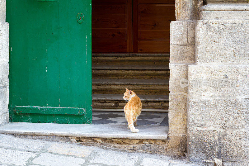 马耳他瓦莱塔:传统门口的猫