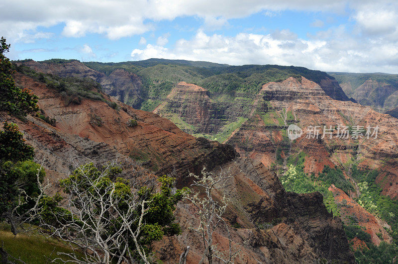 夏威夷考艾岛上的威美亚峡谷瞭望台