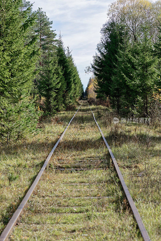 森林中废弃的铁路