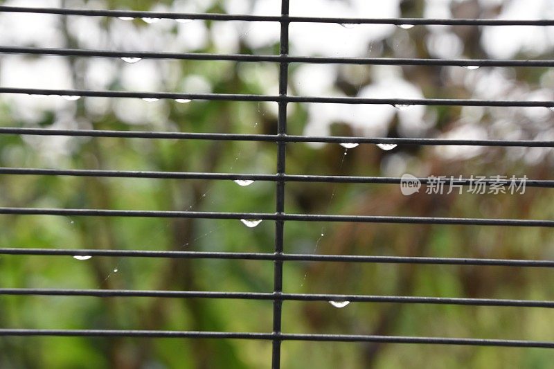 雨中湿的栅栏