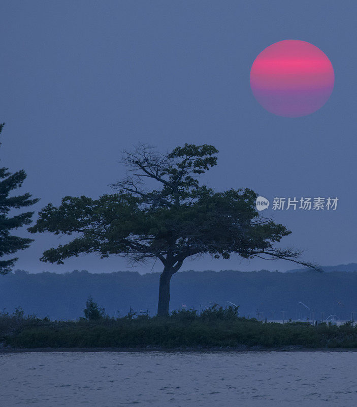 底特律角野火烟雾日落