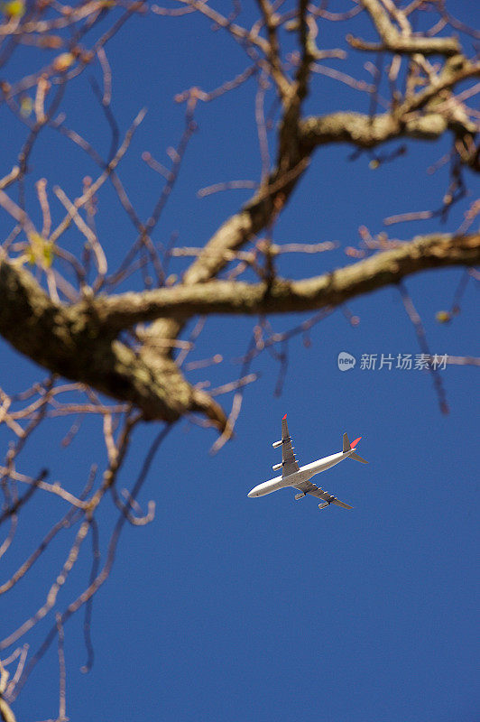 冬季飞机晴朗的天空