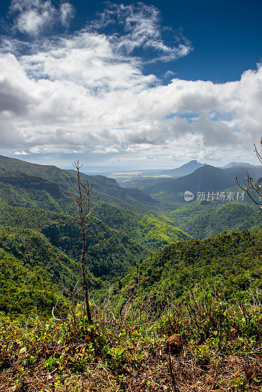 毛里求斯岛上黑河峡谷的山区。