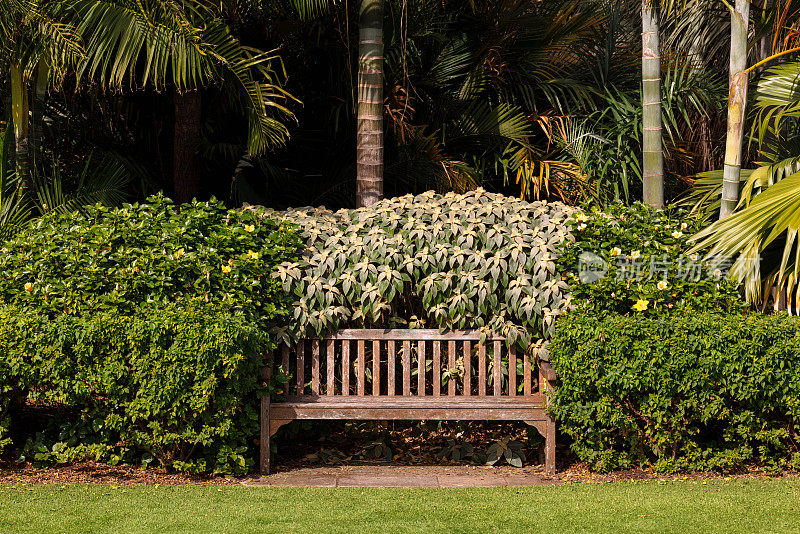 公共花园中的木凳