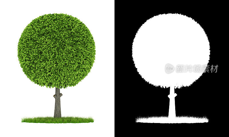3D渲染球形状绿色灌木与圆形草坪隔离在白色背景和alpha通道