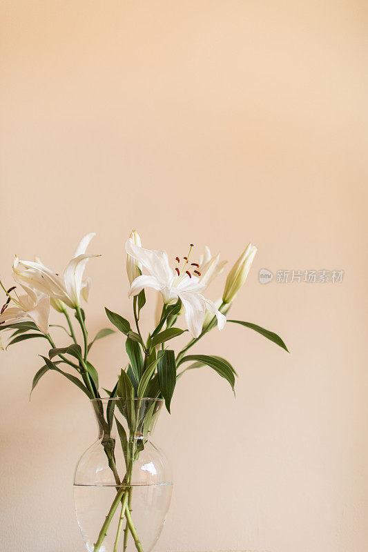 白色复活节百合花和中性的背景，一个简单舒适的2021年情人节在家