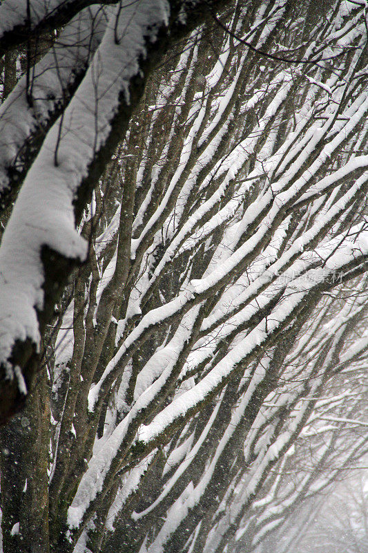 雪隧道