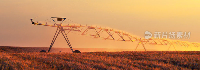 灌溉系统在夏季灌溉农业麦田