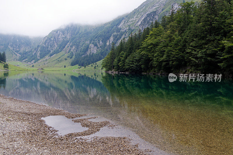 瑞士的阿尔卑斯湖，有蓝绿色的水，冷杉森林和山脉，在薄雾的背景下，白天没有人