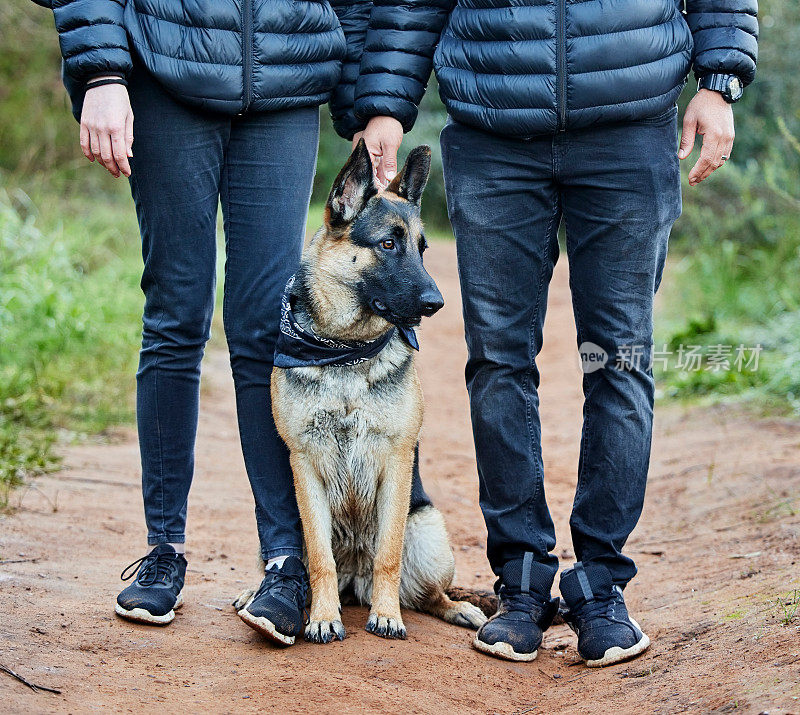 一名男子和他可爱的德国牧羊犬在公园里共度美好时光