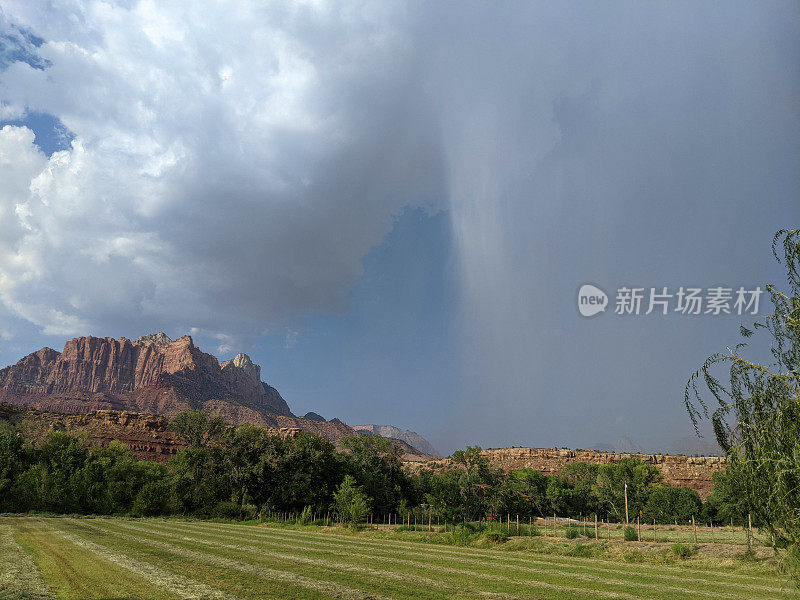 强烈的夏季暴雨和飓风笼罩着牧场和田野，背景是犹他州的锡安国家公园