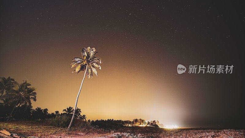 印度果阿。真正的夜空之星。自然星空背景上的椰树棕榈树。4K，延时