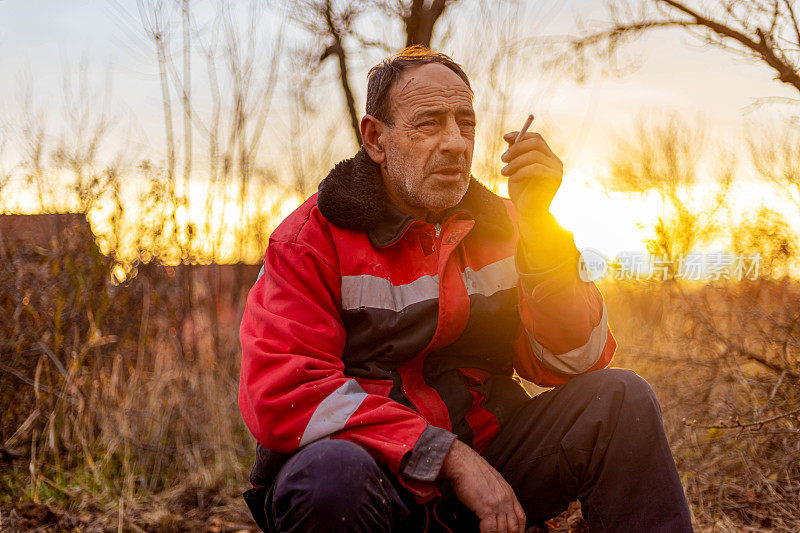 休息期间，一位大四的伐木工人坐在一棵树上抽烟