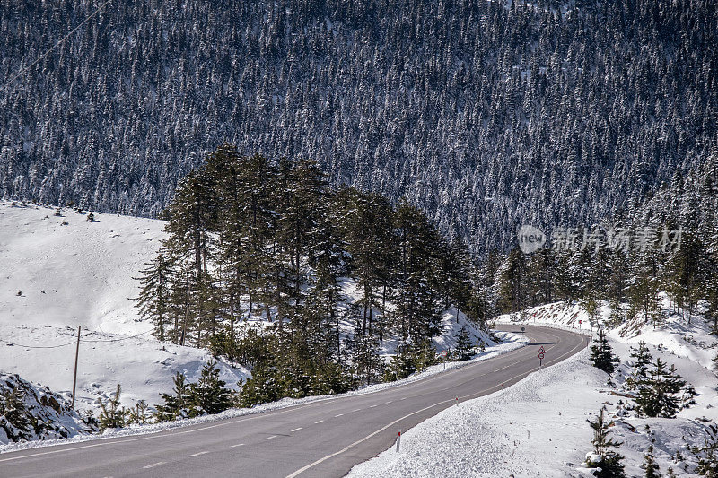 清晨，山上长满了树木，铺满了白雪，铺满了道路，道路自然景观