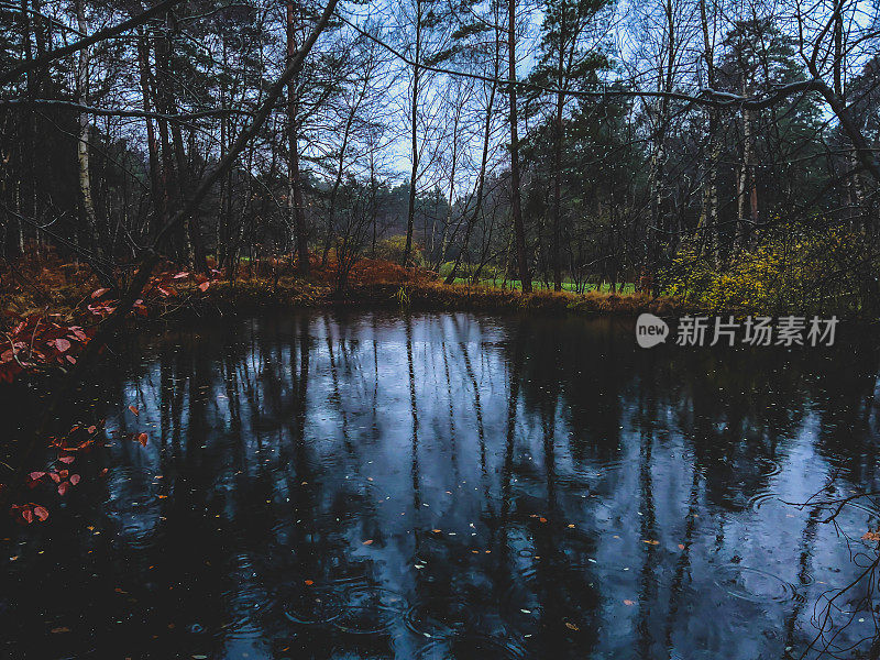 在冬天的夜晚，在潮湿的天气里，森林中央的一个小湖。