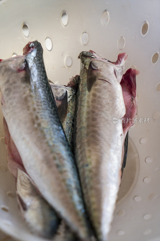 清洗即食生鱼，特写分类和清洗生凤尾鱼