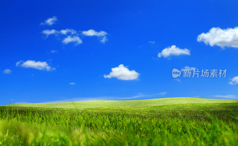 阳光明媚的蓝天上，空旷的绿草地散发着清新的气息