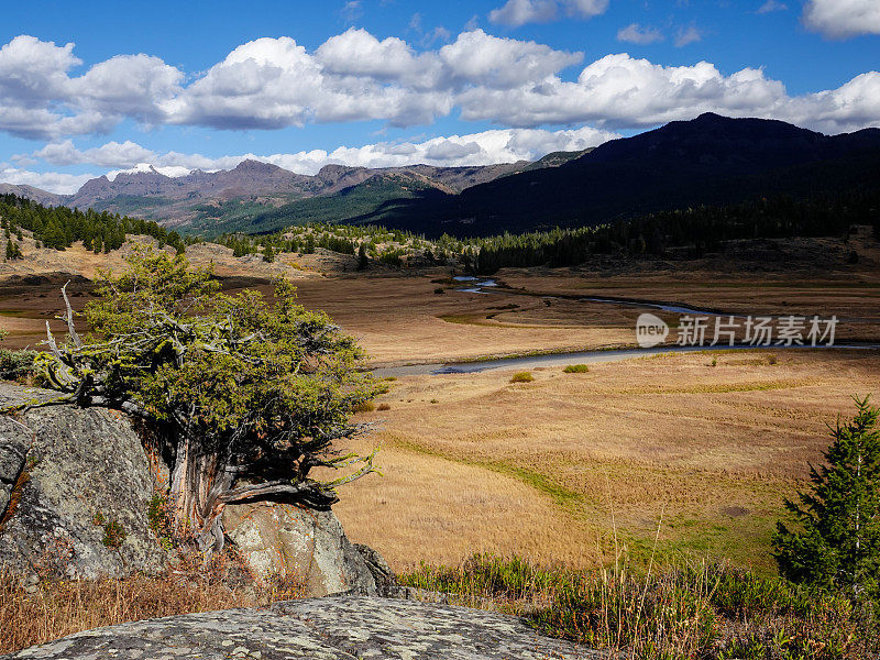 拉马尔河,黄石公园。